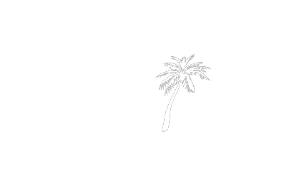 Nordpalmen