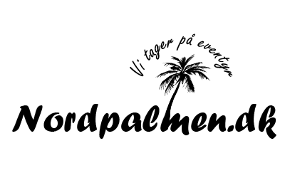 Nordpalmen