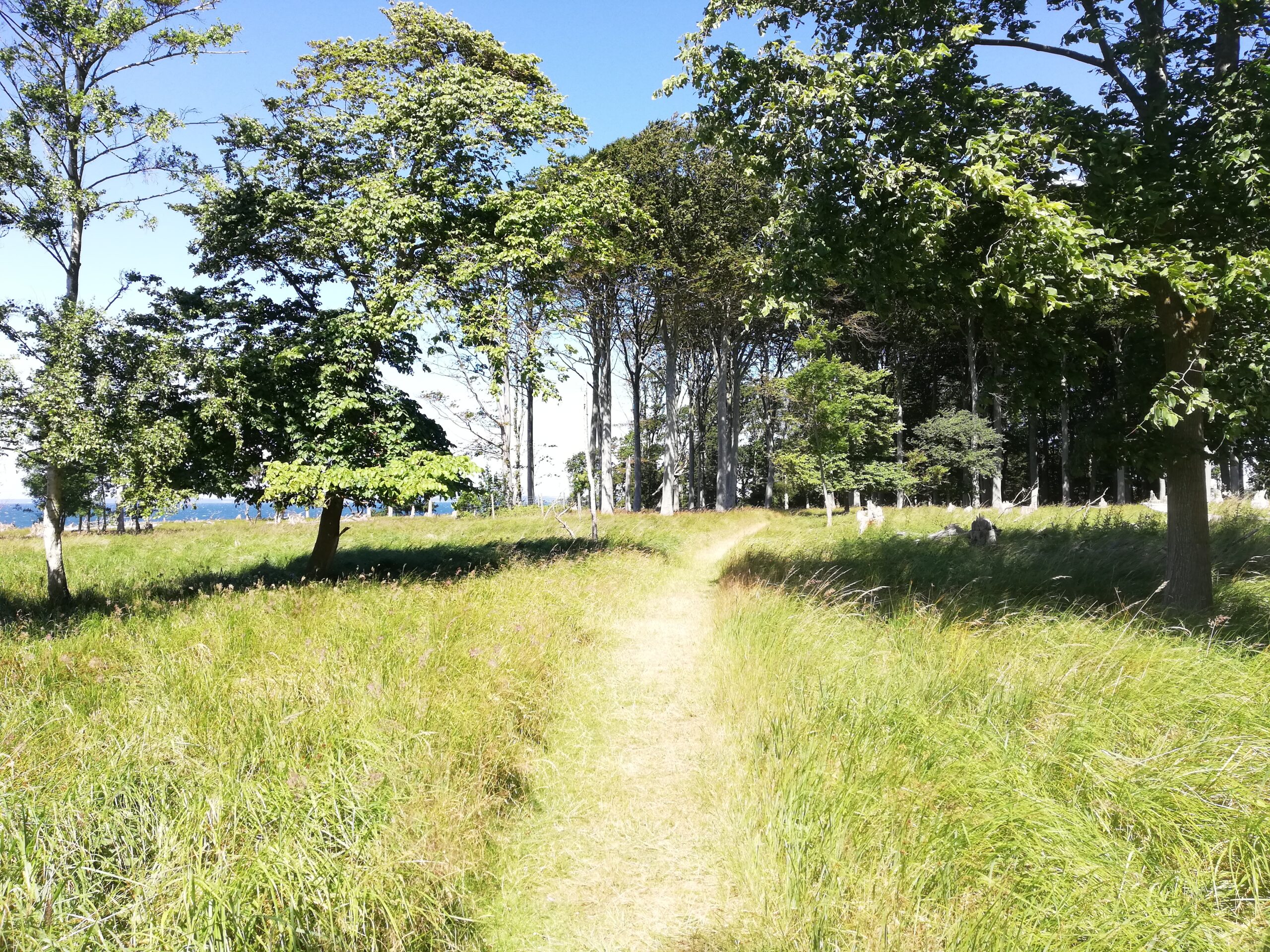 Æbelø på Nordfyn